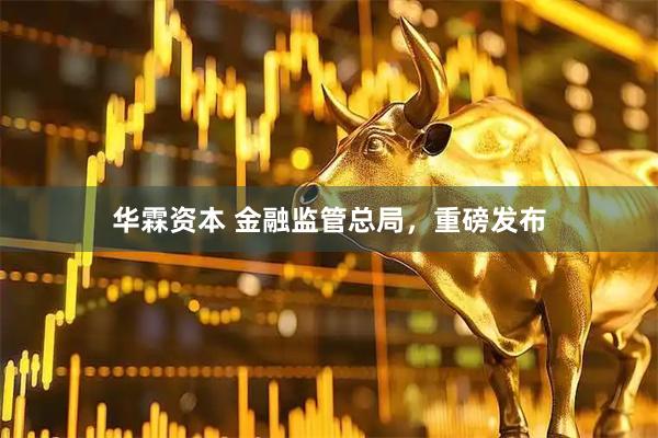 华霖资本 金融监管总局，重磅发布