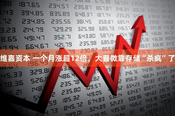 维嘉资本 一个月涨超12倍，大普微靠存储“杀疯”了