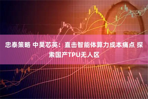 忠泰策略 中昊芯英:直击智能体算力成本痛点 探索国产TPU无人区